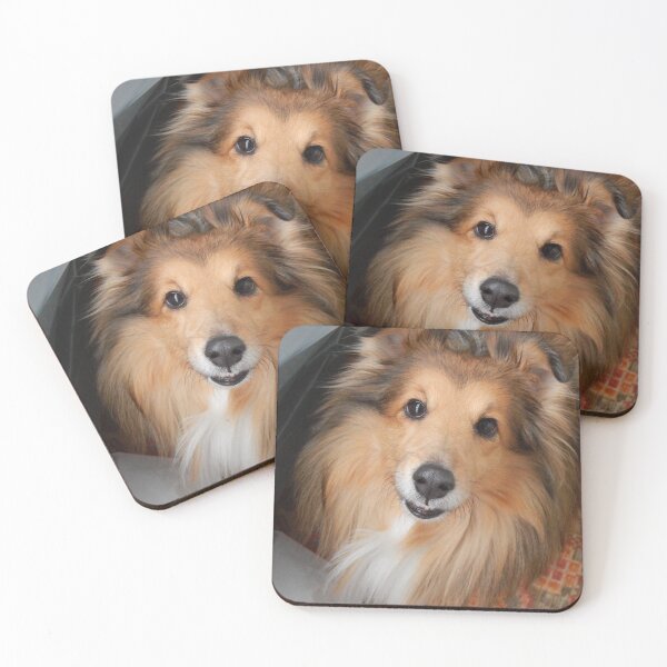 Item preview, Cute shelty designed and sold by Scrt2.