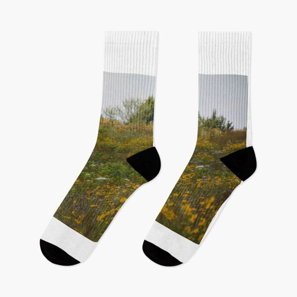 Item preview, Golden fields designed and sold by catarro.