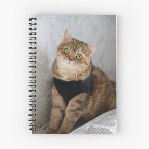 Item preview, Greeneyed fluffy cat designed and sold by Scrt2.
