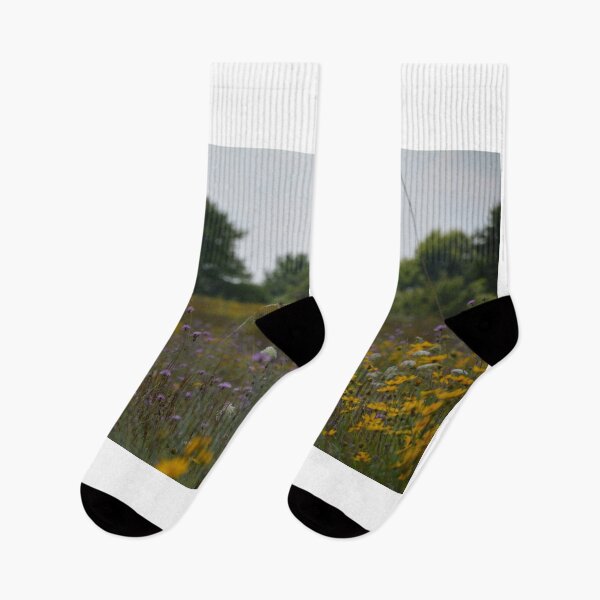 Artikelvorschau, Appalachen-Wildblumen entworfen und verkauft von catarro.