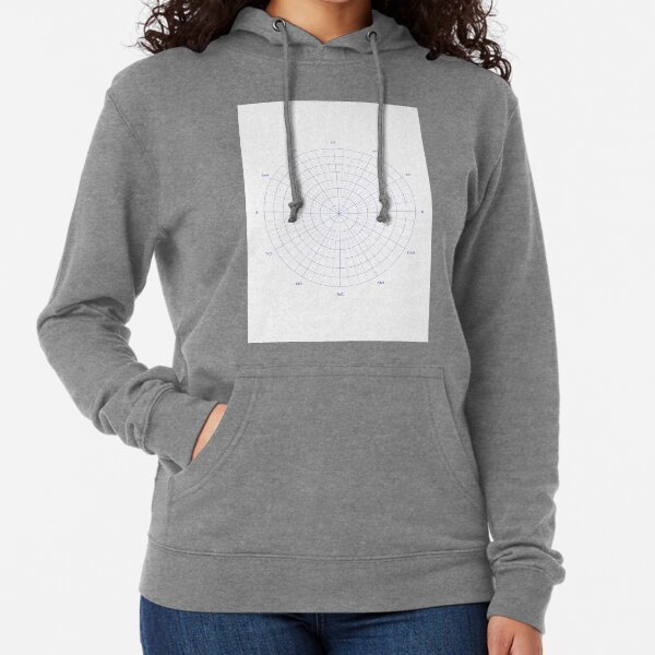 graph paper of polar coordinates, #graph #paper #polar #coordinates #GraphPaper #PolarCoordinates Lightweight Hoodie