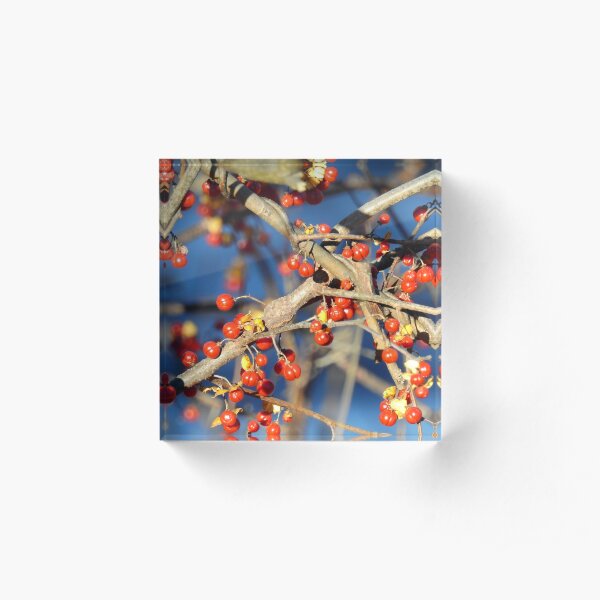 By the Mystic Acrylic Block