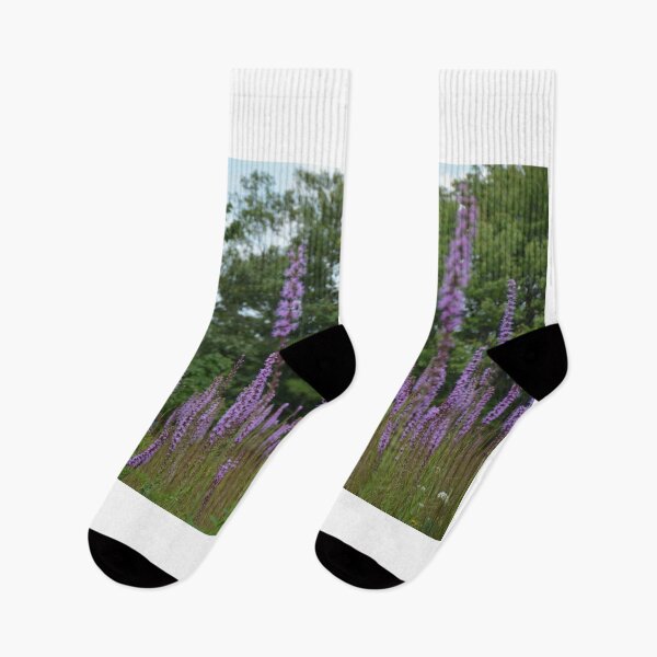 Item preview, Fields of Purple designed and sold by catarro.
