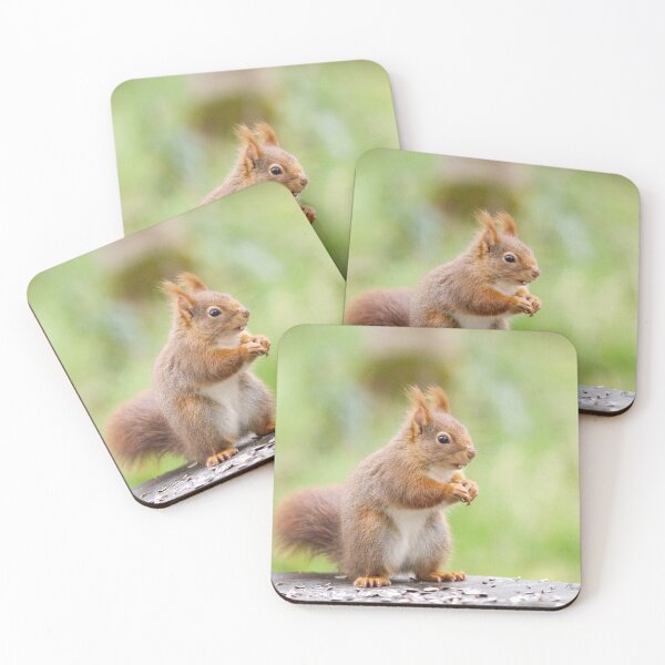 Item preview, Squirrel in the garden designed and sold by VBMatossy.