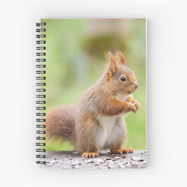 Item preview, Squirrel in the garden designed and sold by VBMatossy.