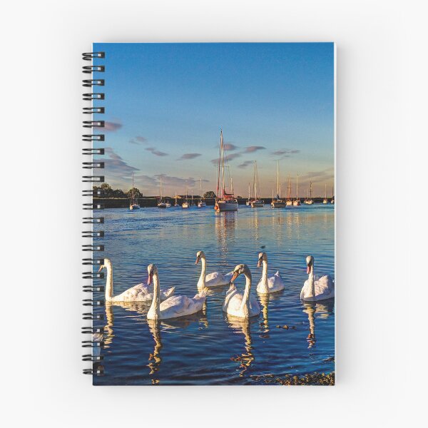Item preview, Summer Evening swans designed and sold by Londonimages.