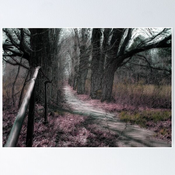 Item preview, Path to the Asylum (2011 Variation) designed and sold by Klezedawg Imaging.