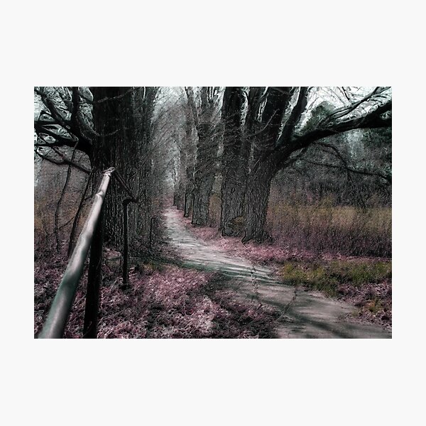 Artikelvorschau, Path to the Asylum (2011 Variation) entworfen und verkauft von Klezedawg Imaging.