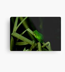 Camouflage Metal Print