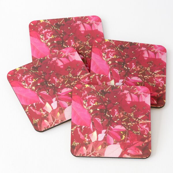 Item preview, Bush ardiente, fotografía de la naturaleza por Courtney Hatcher designed and sold by cghatcherart.