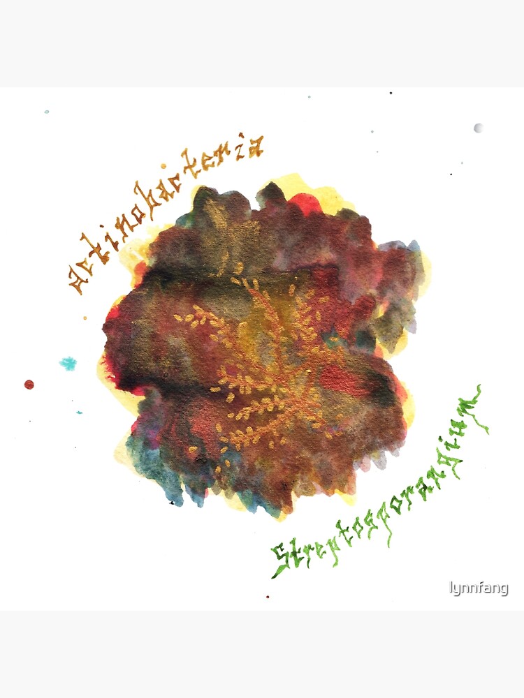 Actinobacteria Art Prints by lynnfang