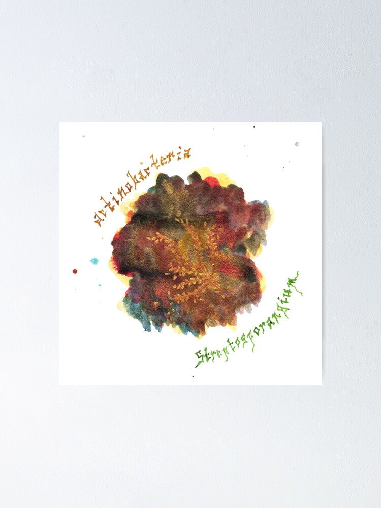 Alternate view of Actinobacteria Art Prints Poster