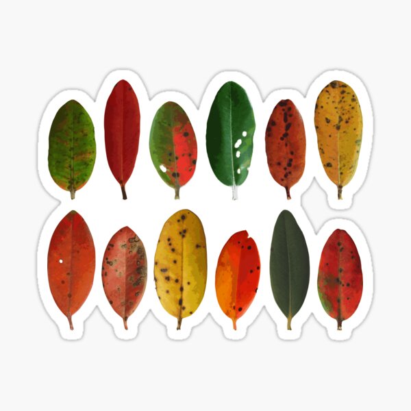 Item preview, Pohutukawa Leaves designed and sold by MHen.