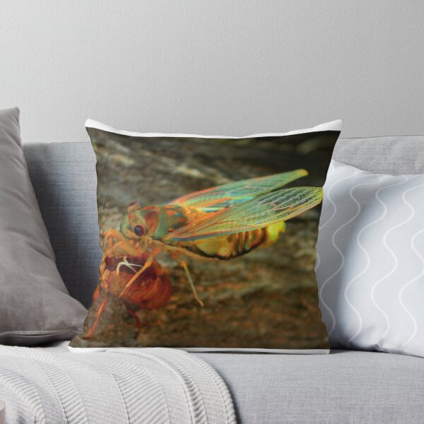 Item preview, Cicada shedding it's shell designed and sold by myraj.