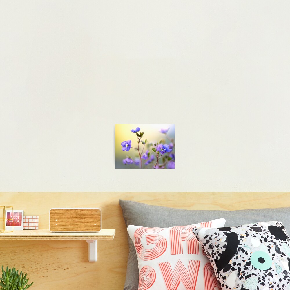Item preview, Photographic Print designed and sold by Dance.