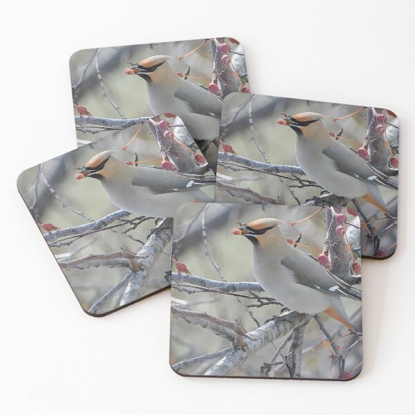 Item preview, Bohemian waxwing feasting on berries designed and sold by CanadianWild418.