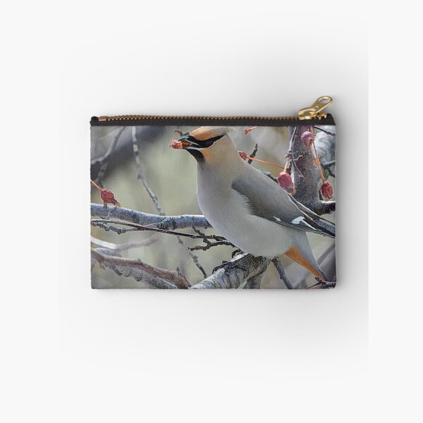 Item preview, Bohemian waxwing feasting on berries designed and sold by CanadianWild418.