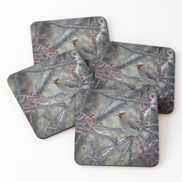 Item preview, Waxwing feeding. designed and sold by CanadianWild418.