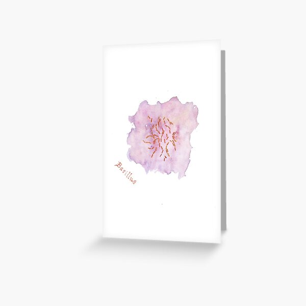 Bacillus Greeting Card Greeting Card