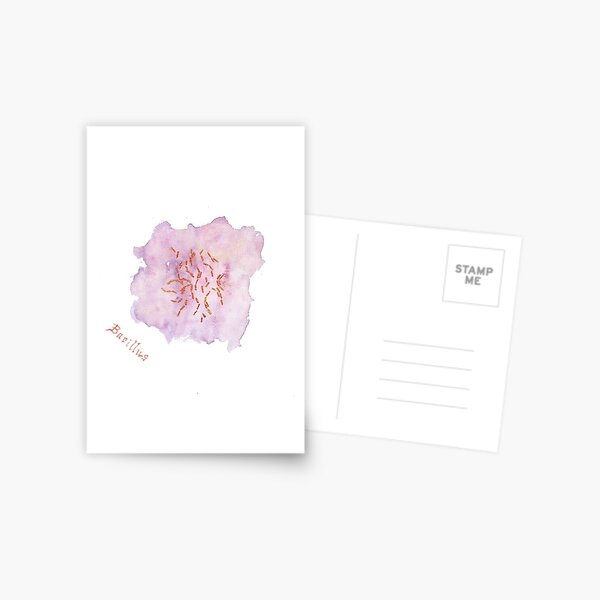 Bacillus Greeting Card Postcard