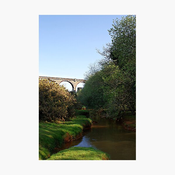 Item preview, CARNON VIADUCT designed and sold by AndyReeve.
