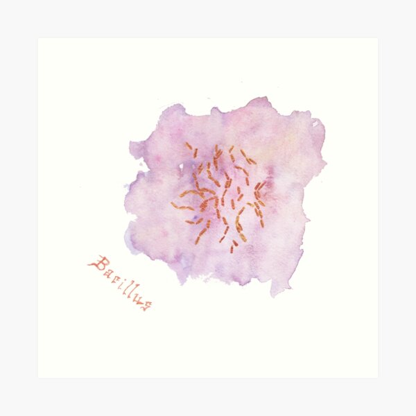 Bacillus Art Prints Art Print