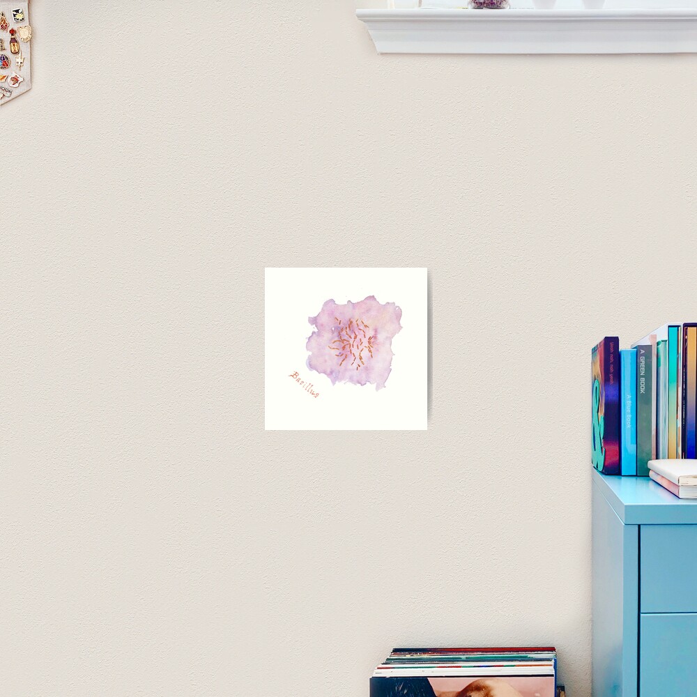 Bacillus Art Prints Art Print