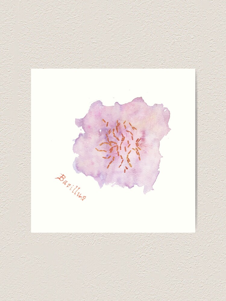 Alternate view of Bacillus Art Prints Art Print