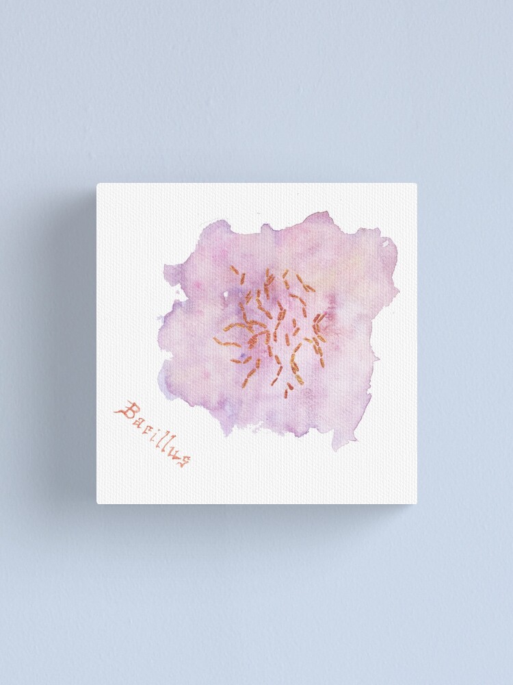 Alternate view of Bacillus Art Prints Canvas Print