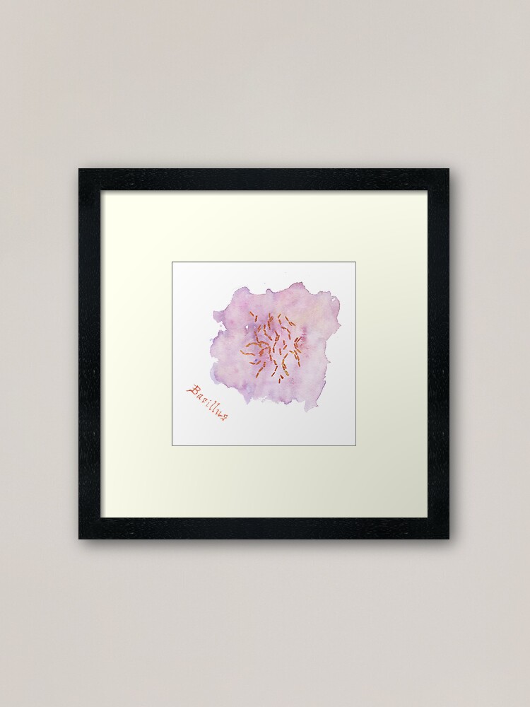 Alternate view of Bacillus Art Prints Framed Art Print