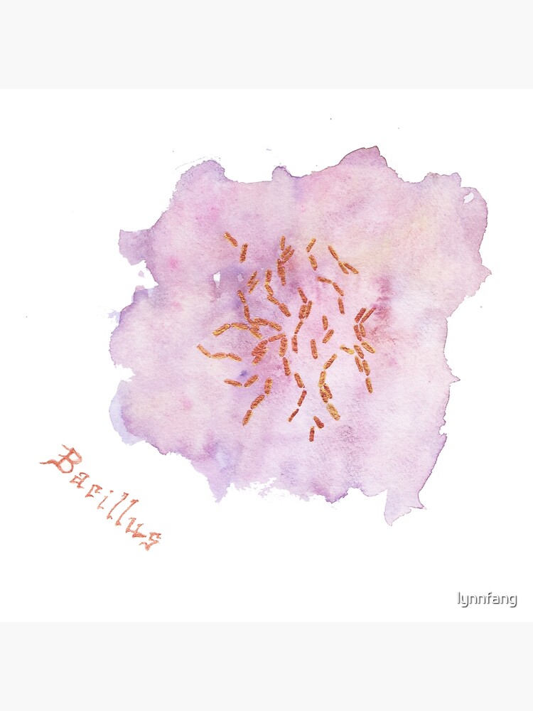 Bacillus Art Prints by lynnfang