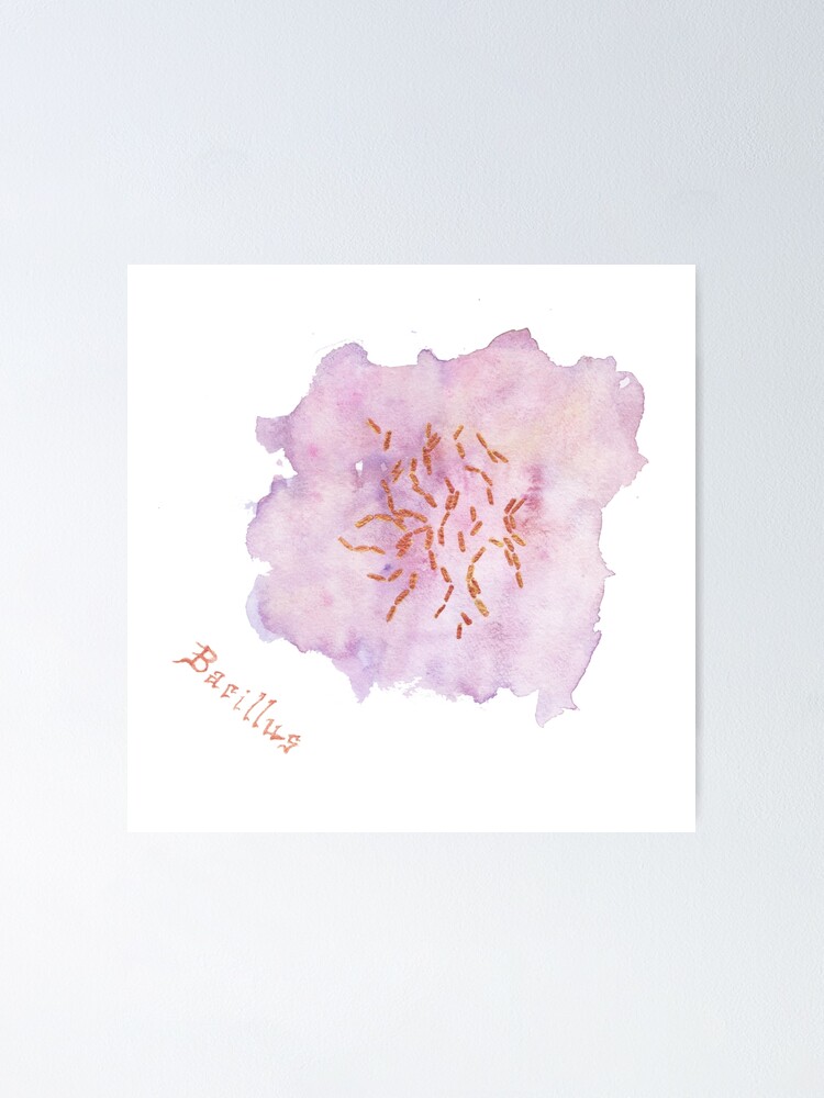 Alternate view of Bacillus Art Prints Poster
