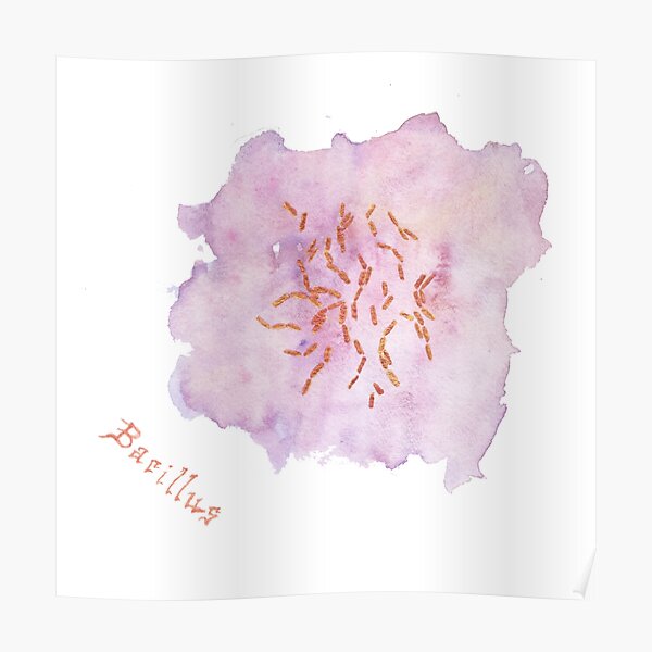 Bacillus Art Prints Poster