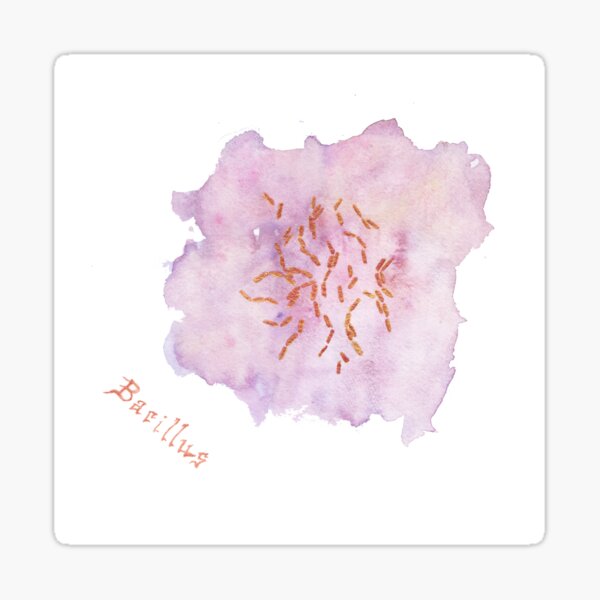 Bacillus Art Prints Sticker