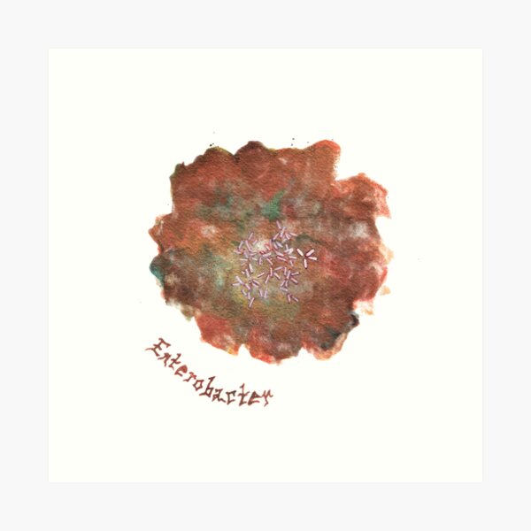 Enterobacter Art Prints Art Print