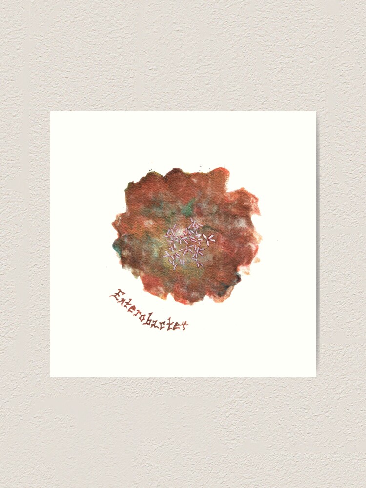 Alternate view of Enterobacter Art Prints Art Print