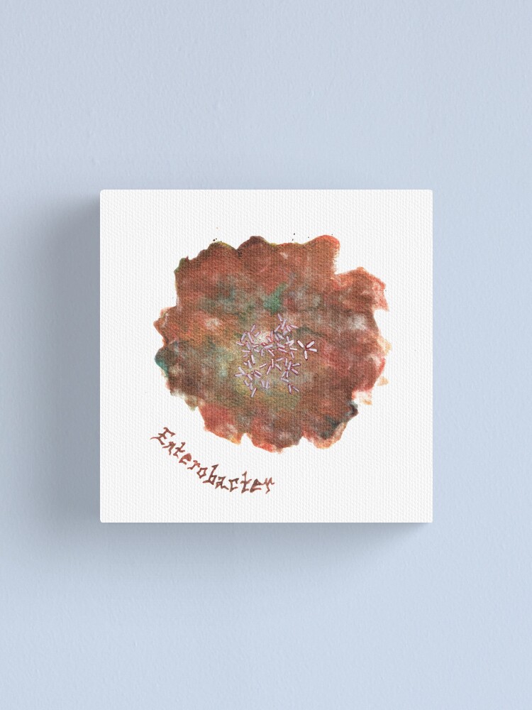 Alternate view of Enterobacter Art Prints Canvas Print