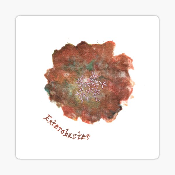 Enterobacter Art Prints Sticker