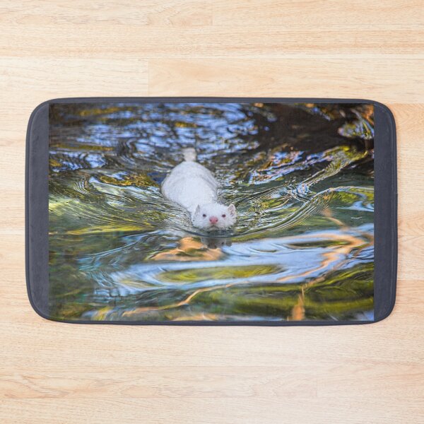 Item preview, Iceland. Reykjavik. Zoo. Swimming White Mink. designed and sold by vadim19.