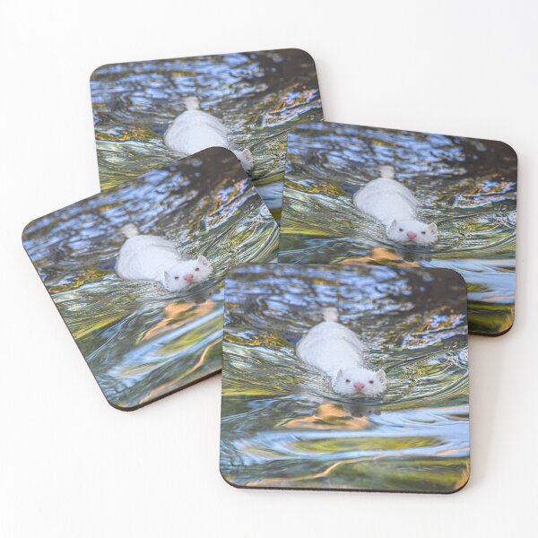 Item preview, Iceland. Reykjavik. Zoo. Swimming White Mink. designed and sold by vadim19.