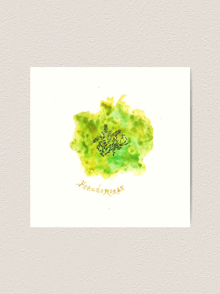 Alternate view of Pseudomonas Art Prints Art Print