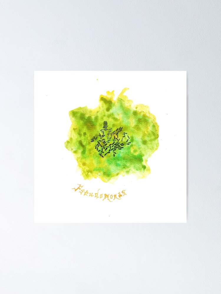 Alternate view of Pseudomonas Art Prints Poster