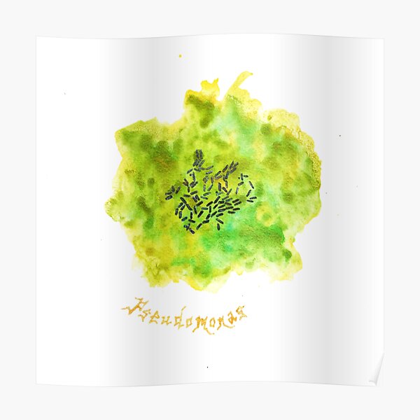 Pseudomonas Art Prints Poster