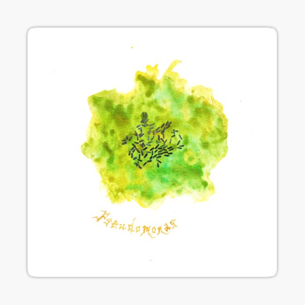 Pseudomonas Art Prints Sticker