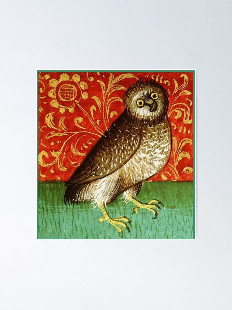 OWL IN RED GREEN GOLD HUES Medieval Minitaure | Poster