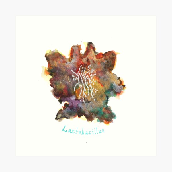 Lactobacillus Art Prints Art Print