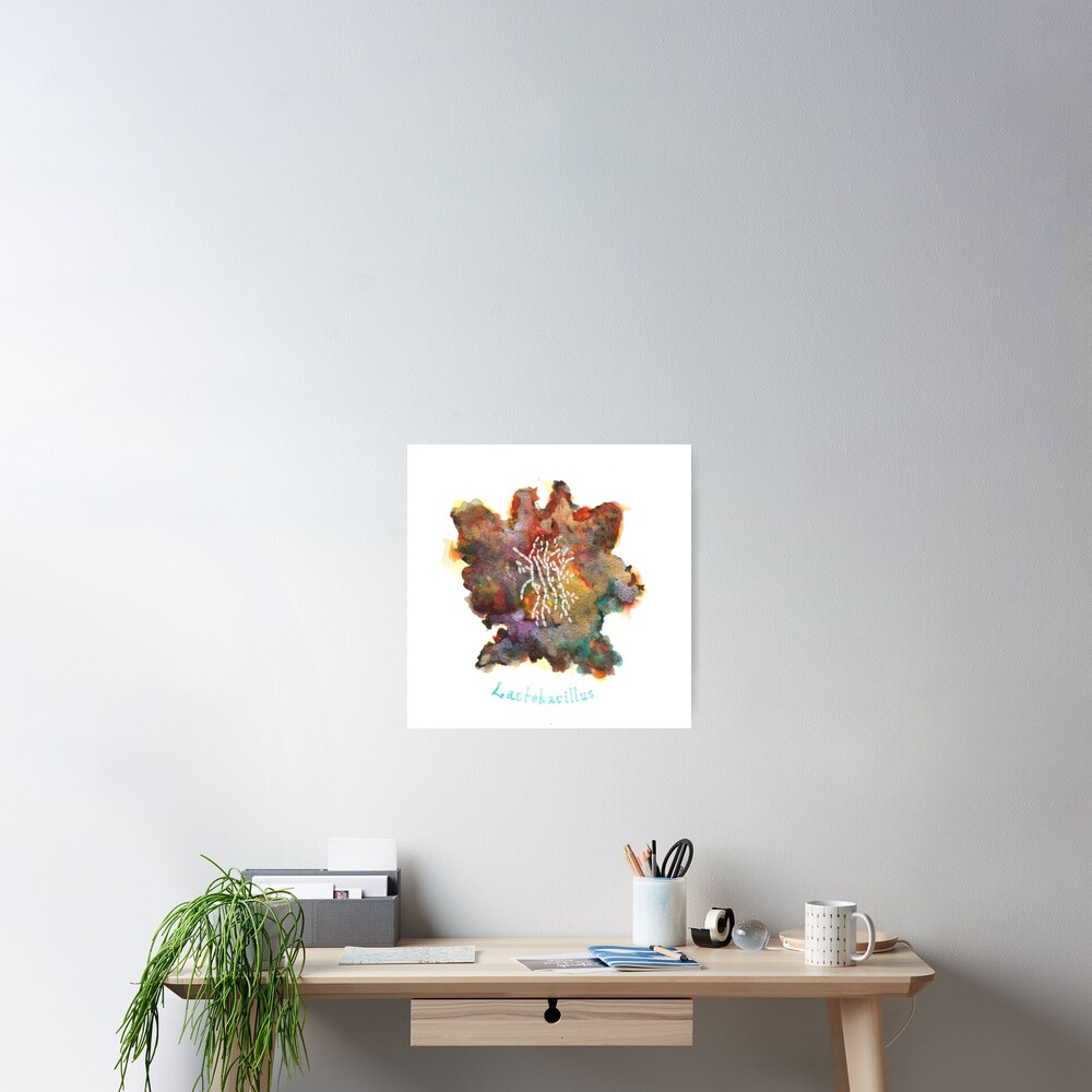 Lactobacillus Art Prints Poster