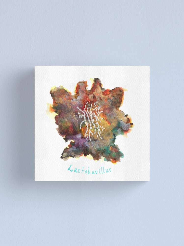 Alternate view of Lactobacillus Art Prints Canvas Print