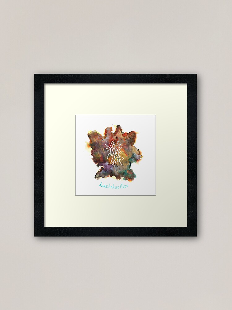Alternate view of Lactobacillus Art Prints Framed Art Print