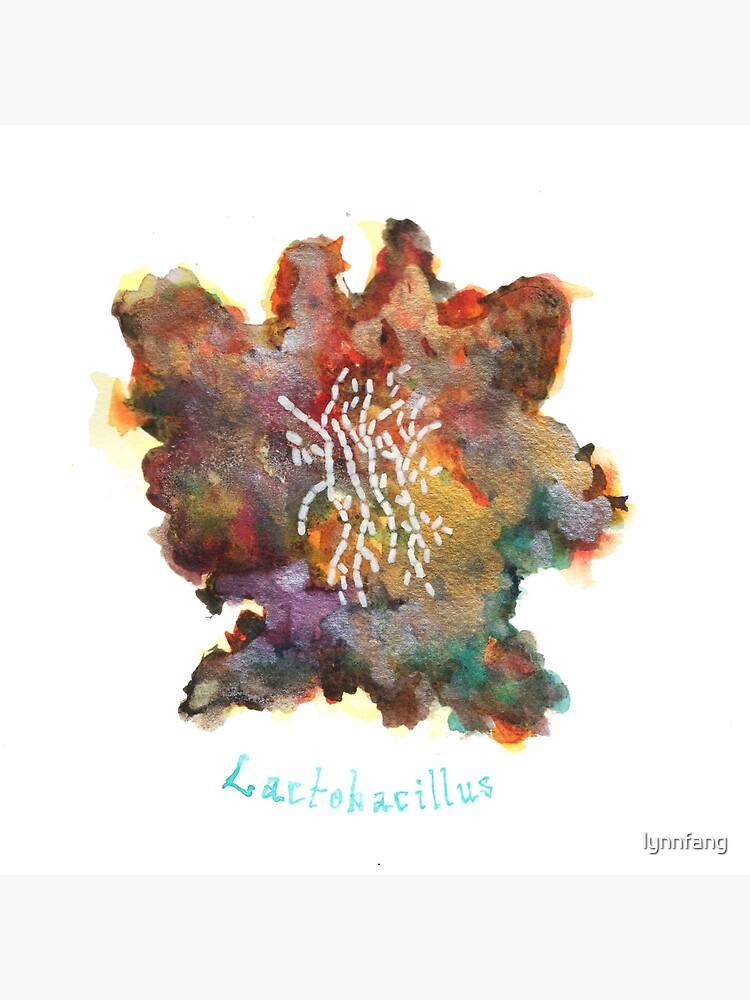 Lactobacillus Art Prints by lynnfang
